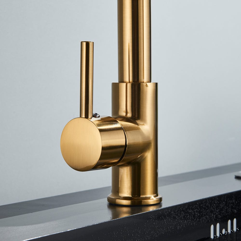 Baterie de bucatarie, auriu nichelat cu negru, cu 2 functii de curgere si dus flexibil