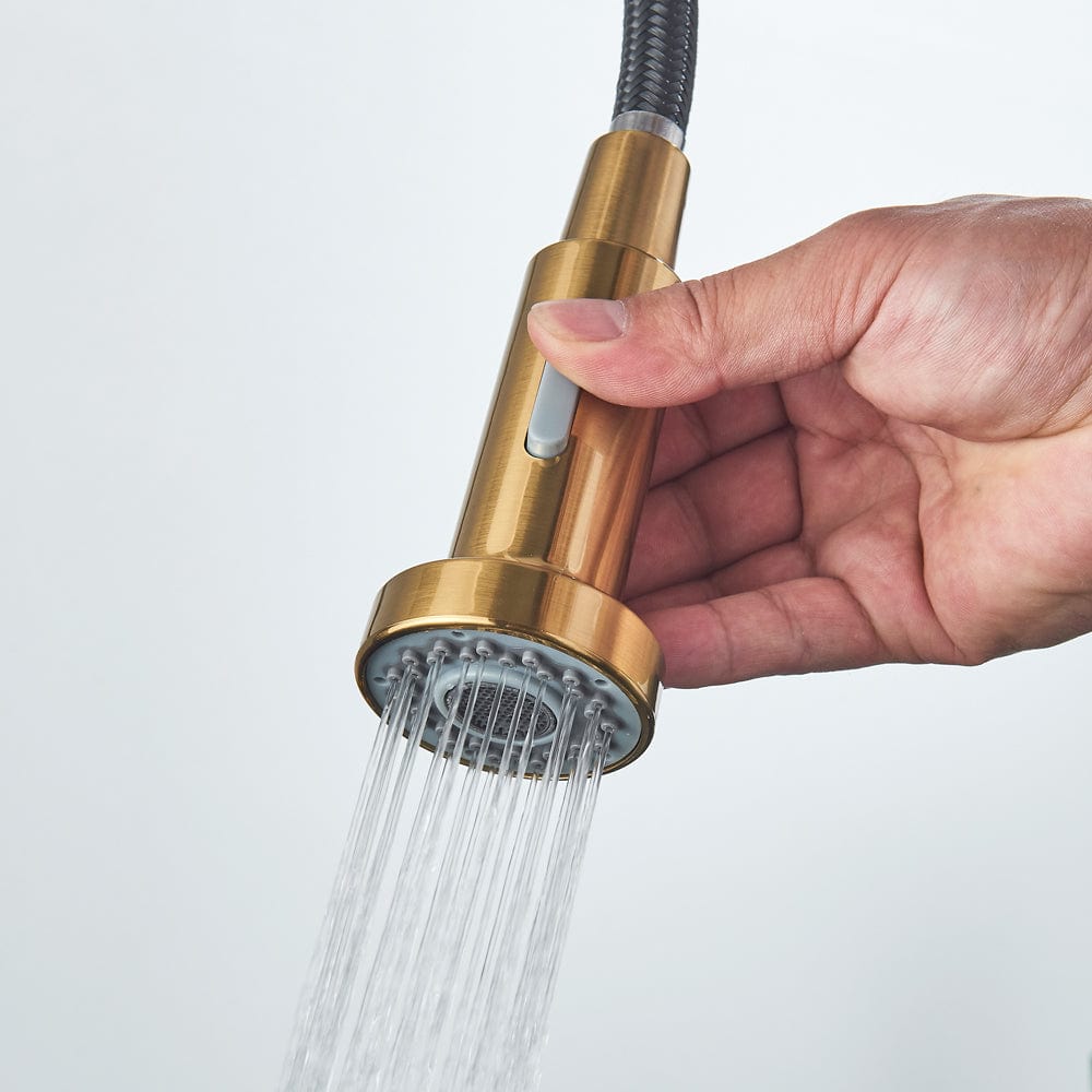 Baterie de bucatarie, auriu nichelat cu negru, cu 2 functii de curgere si dus flexibil