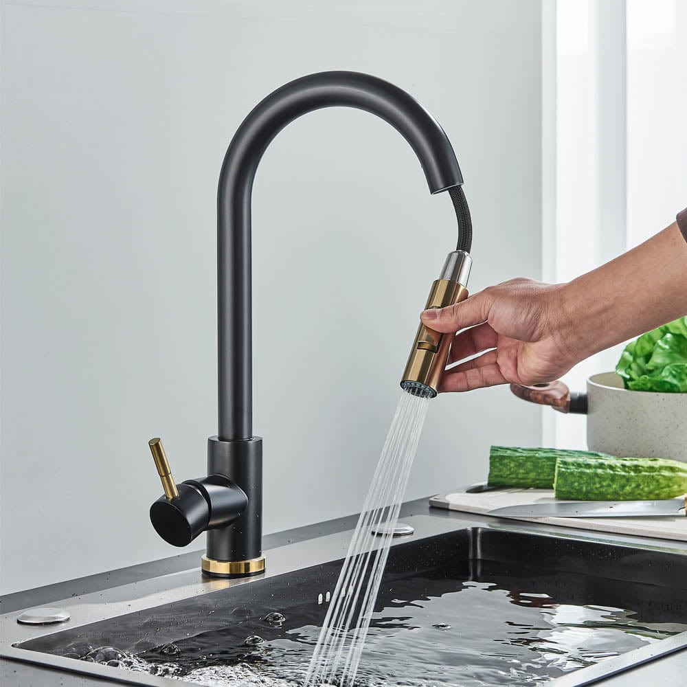 Baterie profesionala, cu dus extractibil, 2 functii de curgere