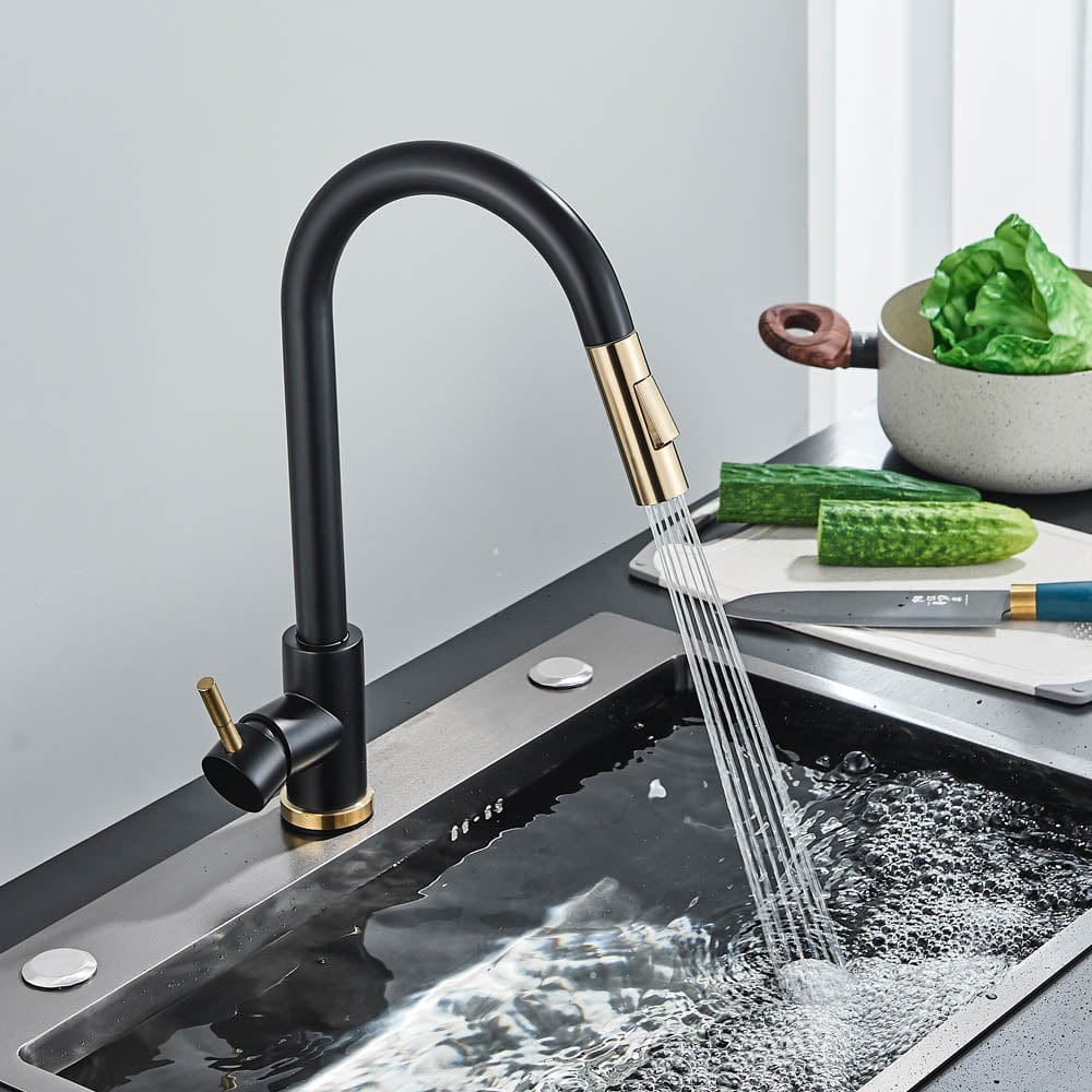 Baterie profesionala, cu dus extractibil, 2 functii de curgere