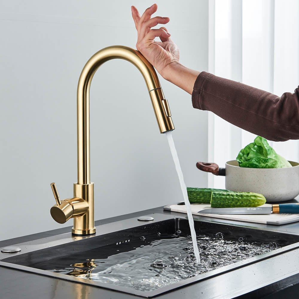 Baterie profesionala, cu senzor de pornire la atingere si dus extractibil