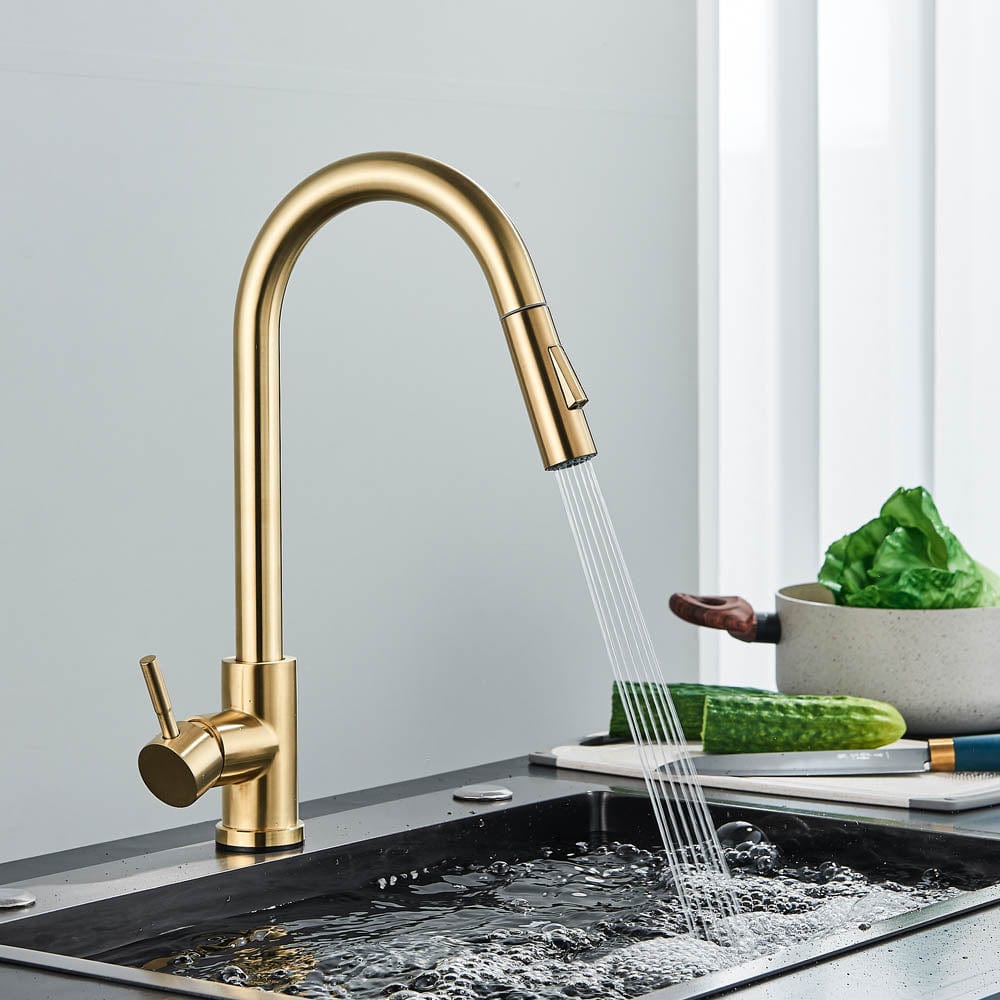 Baterie profesionala, cu senzor de pornire la atingere si dus extractibil