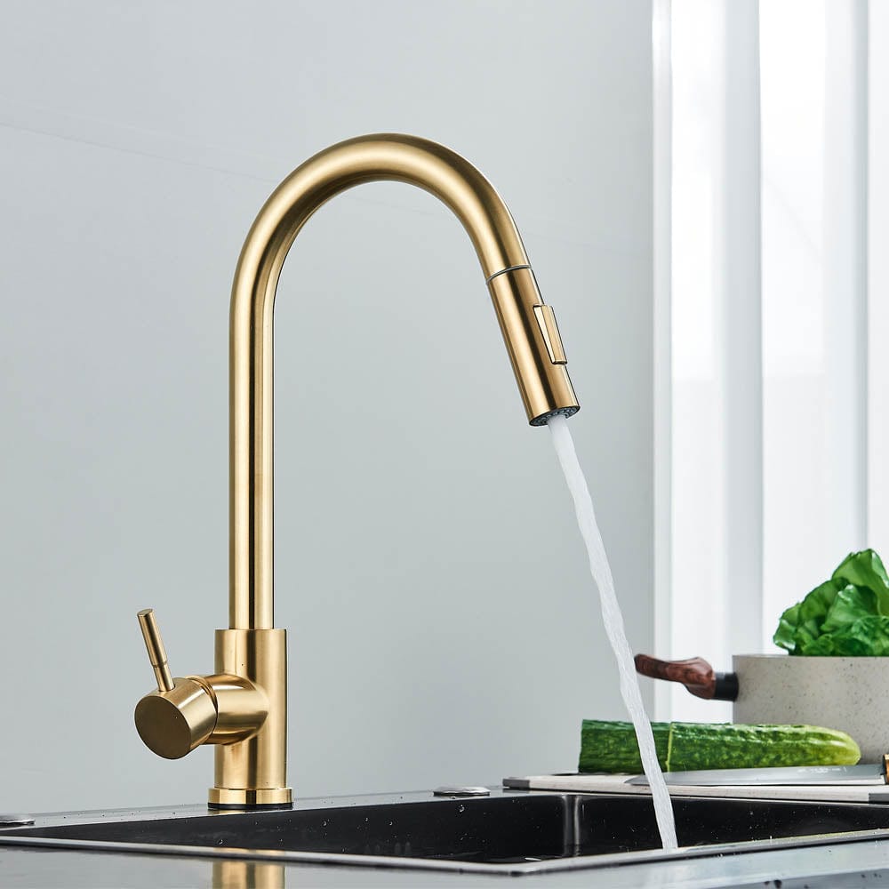 Baterie profesionala, cu senzor de pornire la atingere si dus extractibil