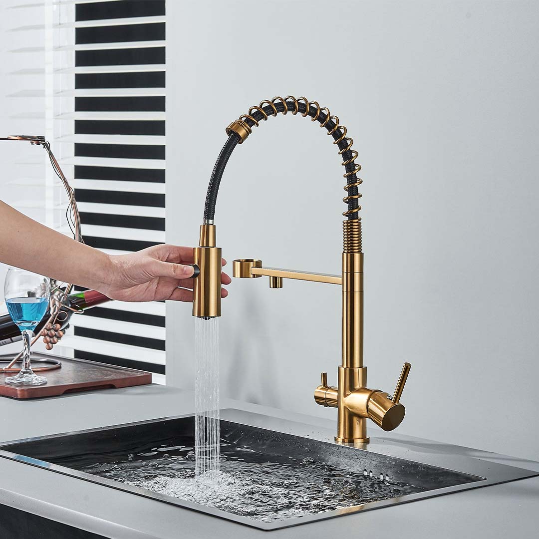 Baterie profesionala de bucatarie, cu dus flexibil, pipa pentru apa filtrata, auriu periat