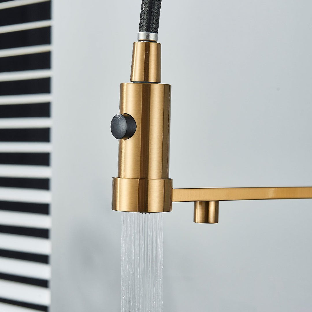 Baterie profesionala de bucatarie, cu dus flexibil, pipa pentru apa filtrata, auriu periat