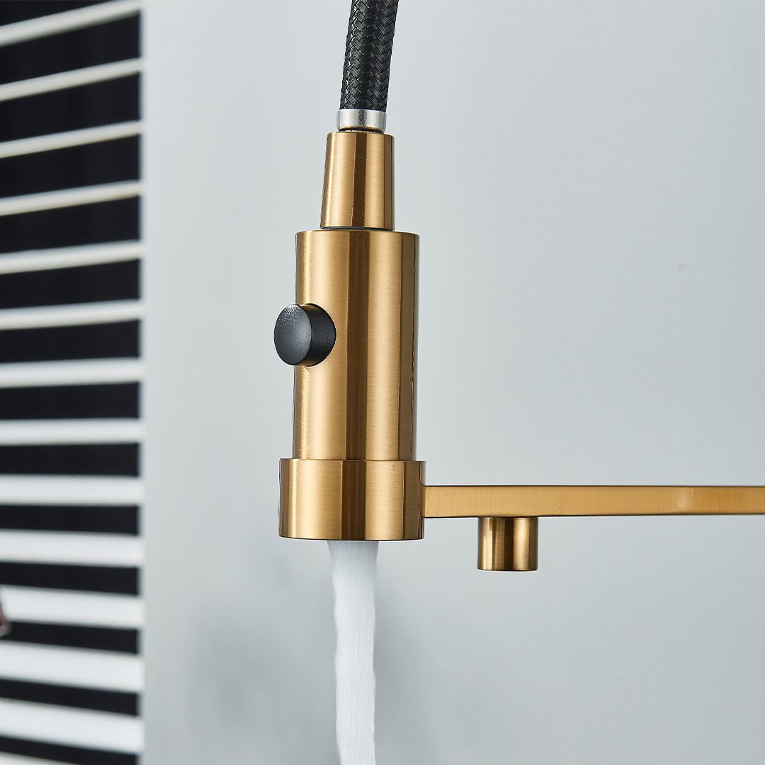 Baterie profesionala de bucatarie, cu dus flexibil, pipa pentru apa filtrata, auriu periat