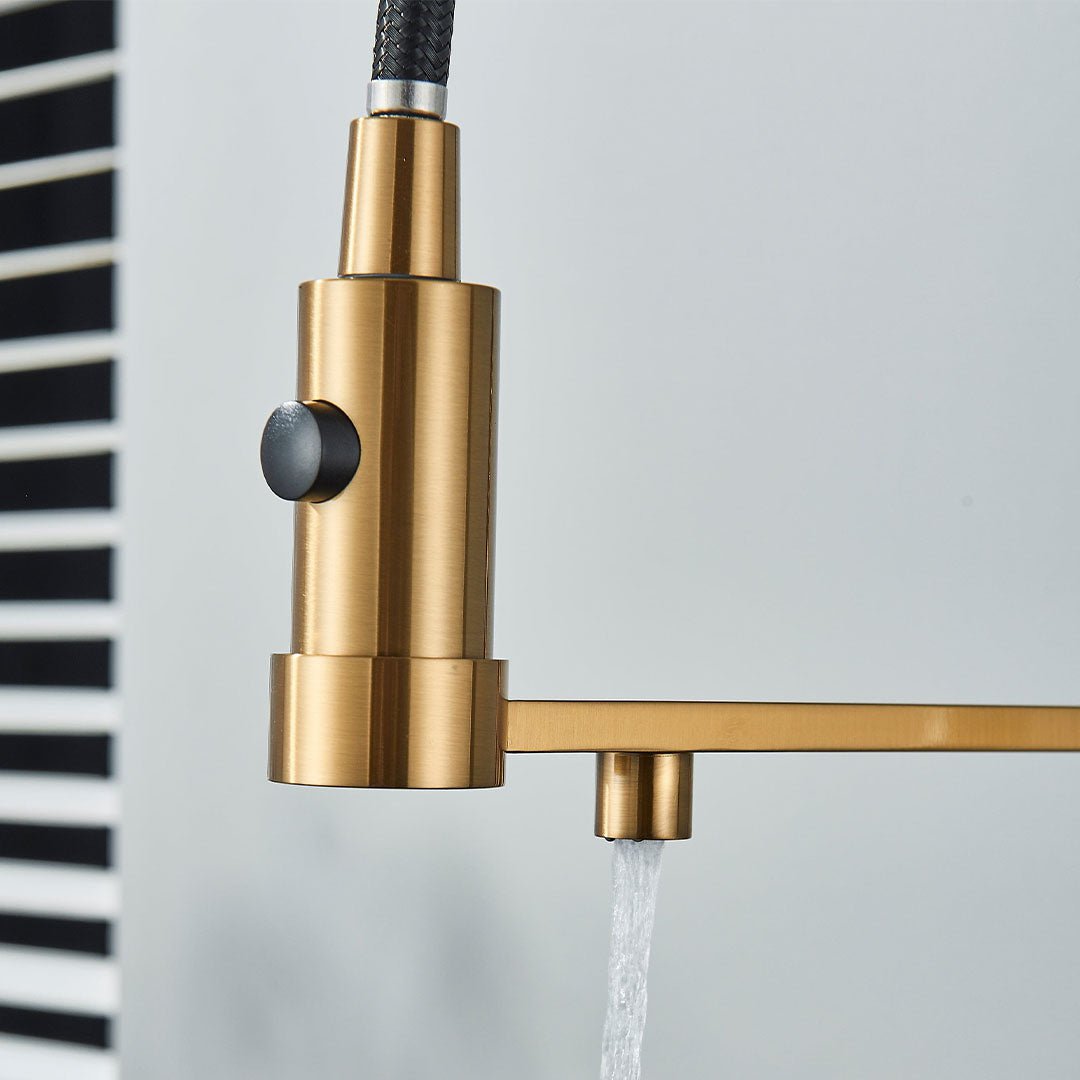 Baterie profesionala de bucatarie, cu dus flexibil, pipa pentru apa filtrata, auriu periat